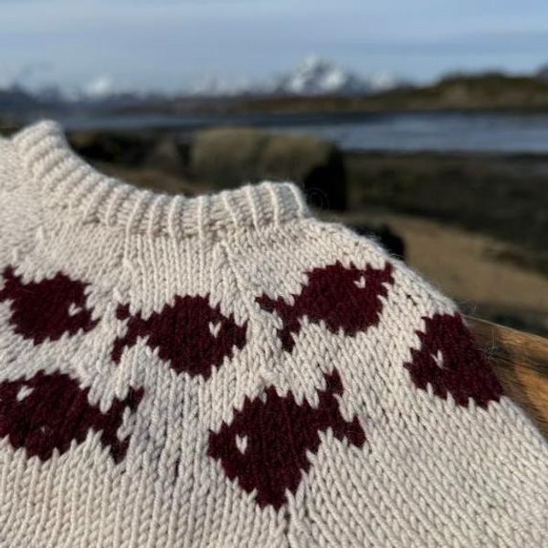 Hovedbilde Kystgenser og lue - Lys ...