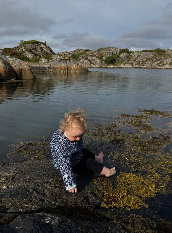 Mini Fryd - Marine/lys blå