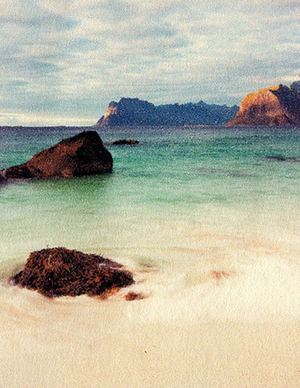 Sand dekkhårsgarn av spelsau