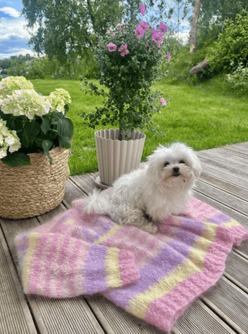 Hovedbilde Idyll (oppskrift)